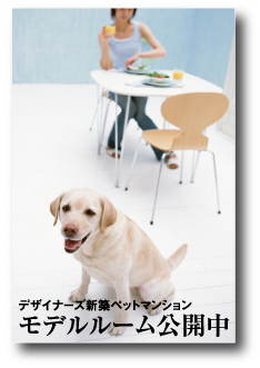 不動産向けDMデザインのページへ